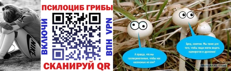 Псилоцибиновые грибы Psilocybine cubensis  Невель 